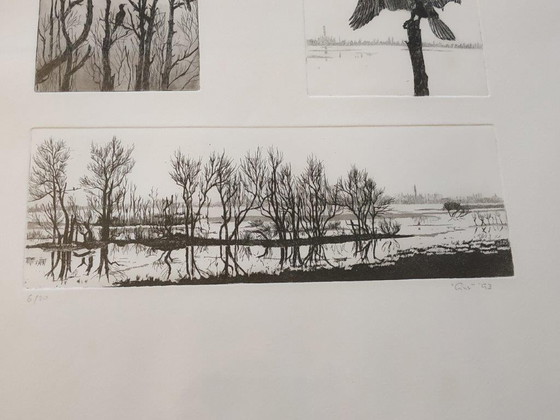 Image 1 of Ans van der Zweep-Heijmen Ets compilatie - Aalscholvers in het Gelders landschap