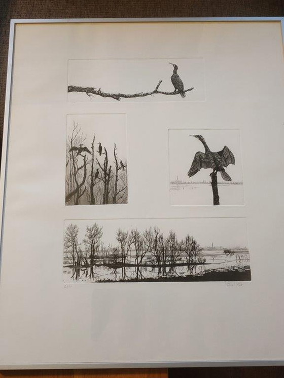 Image 1 of Ans van der Zweep-Heijmen Ets compilatie - Aalscholvers in het Gelders landschap