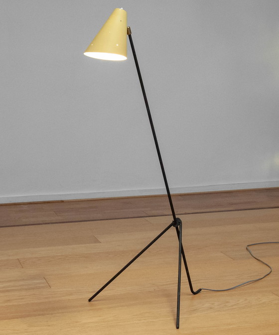 Image 1 of Grasshopper Vloerlamp