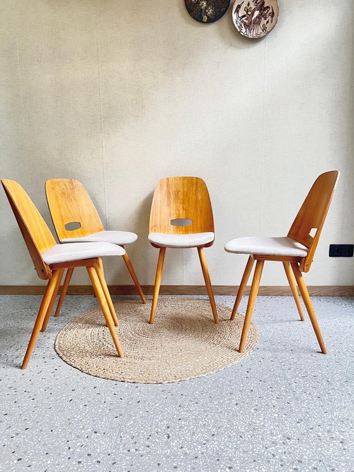 Set Van 4 Eetkamerstoelen Lollipop Design Frantisek Jirak Voor Tatra