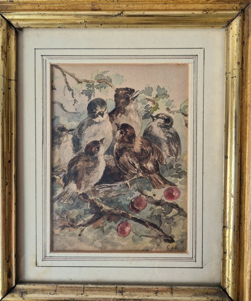 C.S. Stortenbeker - Aquarel Met Vogelnestje