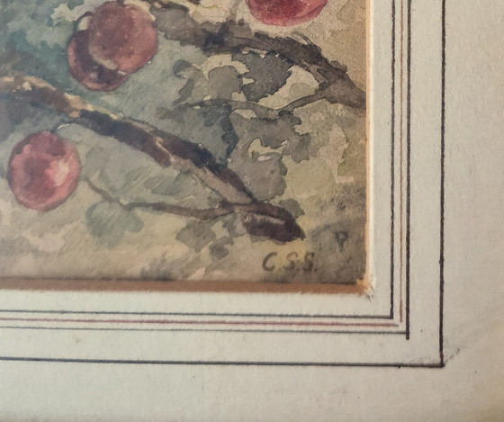 Image 1 of C.S. Stortenbeker - Aquarel Met Vogelnestje