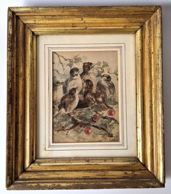 Image 1 of C.S. Stortenbeker - Aquarel Met Vogelnestje