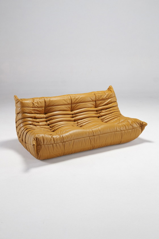 Image 1 of Togo set van Michel Ducaroy voor Ligne Roset, Frankrijk, 1970S