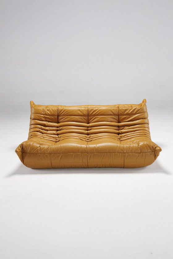 Image 1 of Togo set van Michel Ducaroy voor Ligne Roset, Frankrijk, 1970S