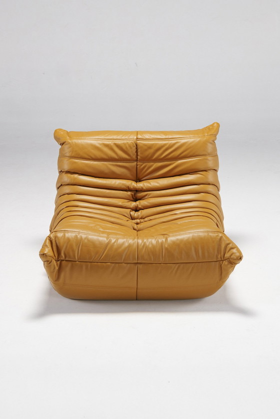 Image 1 of Togo set van Michel Ducaroy voor Ligne Roset, Frankrijk, 1970S