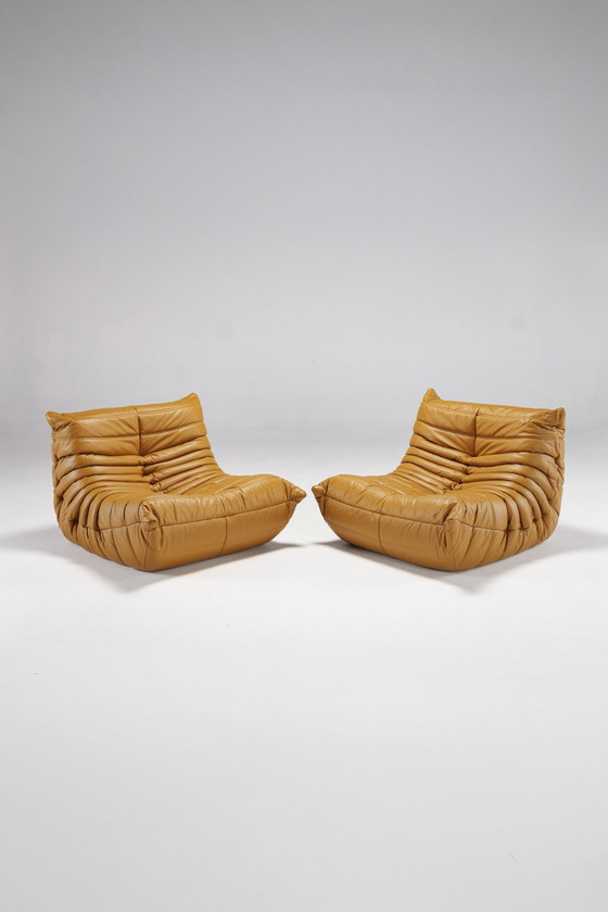 Image 1 of Togo set van Michel Ducaroy voor Ligne Roset, Frankrijk, 1970S