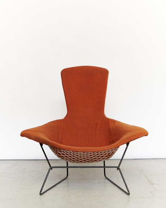 Image 1 of Vogelstoel en Ottoman van Harry Bertoia voor Knoll Inc. / Knoll International, 1960