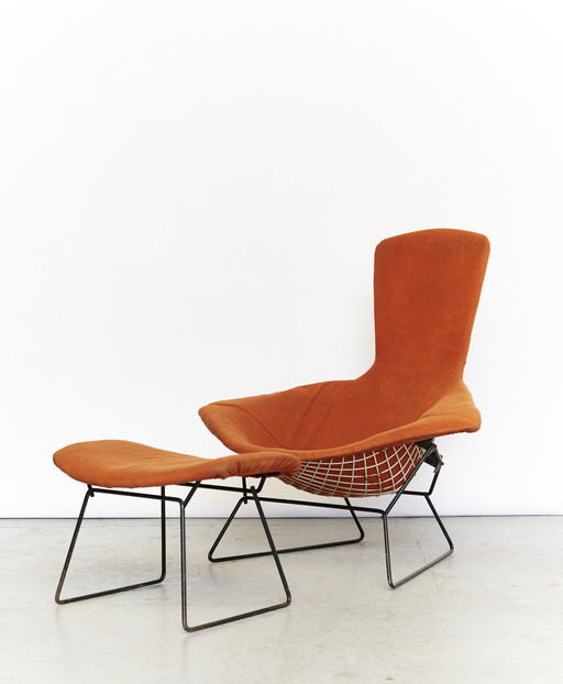 Vogelstoel en Ottoman van Harry Bertoia voor Knoll Inc. / Knoll International, 1960