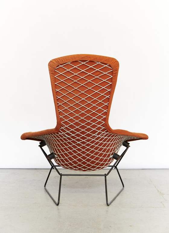 Image 1 of Vogelstoel en Ottoman van Harry Bertoia voor Knoll Inc. / Knoll International, 1960