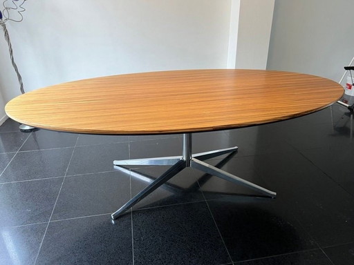 Knoll Grote Ovale Tafel (Vintage)