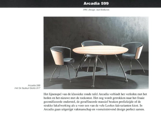 Image 1 of Leolux Design Eetkamerset Arcadia/Giotto Met 4 Stoelen