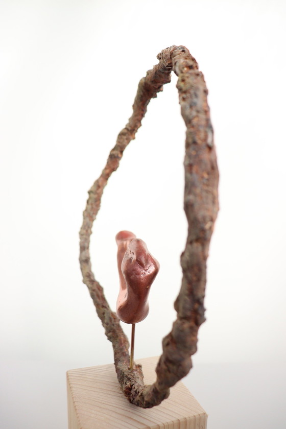 Image 1 of Geborgenheid in the Circle of Life