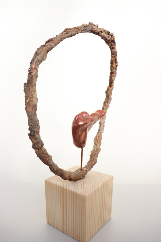 Image 1 of Geborgenheid in the Circle of Life