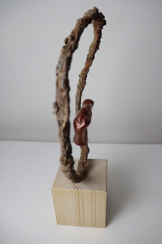 Image 1 of Geborgenheid in the Circle of Life