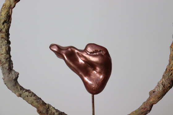 Image 1 of Geborgenheid in the Circle of Life