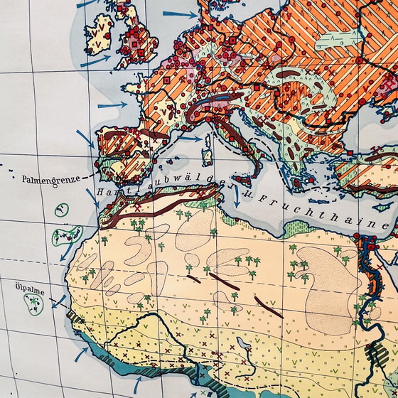 Image 1 of Onderwijskaart "Soorten landschappen op aarde