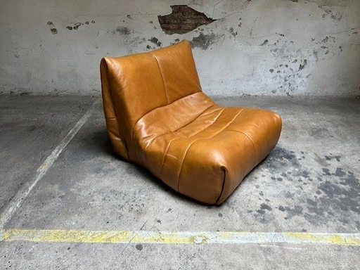 Vintage Roche Bobois Lounge Chair