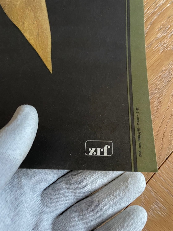 Image 1 of Rene Mulas, De dag van de sprinkhaan, 1976, originele poster: Donald Sutherland, Karen Black, Burgess Meredith