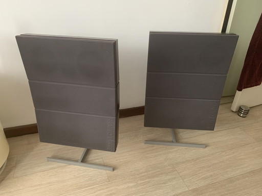 2x Bang & Olufsen Luidsprekers RL 60