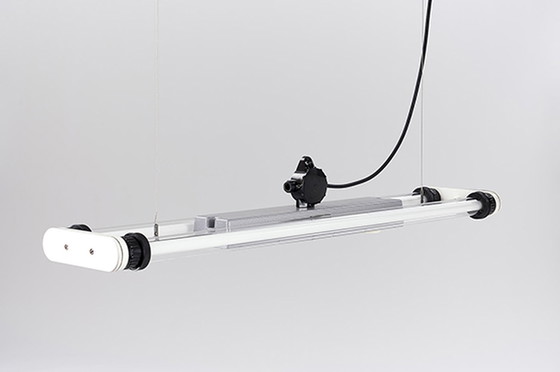 Image 1 of Industriele lamp The Ox by Blom & Blom Amsterdam