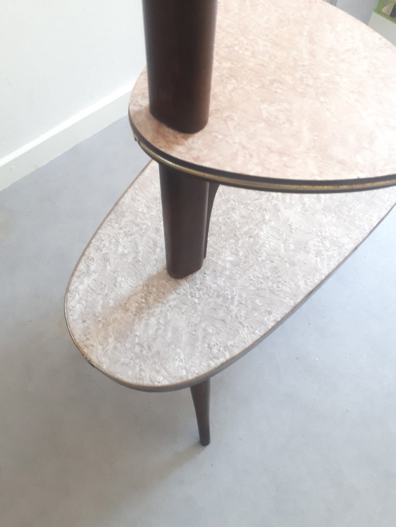 Image 1 of Vintage plantentafel 