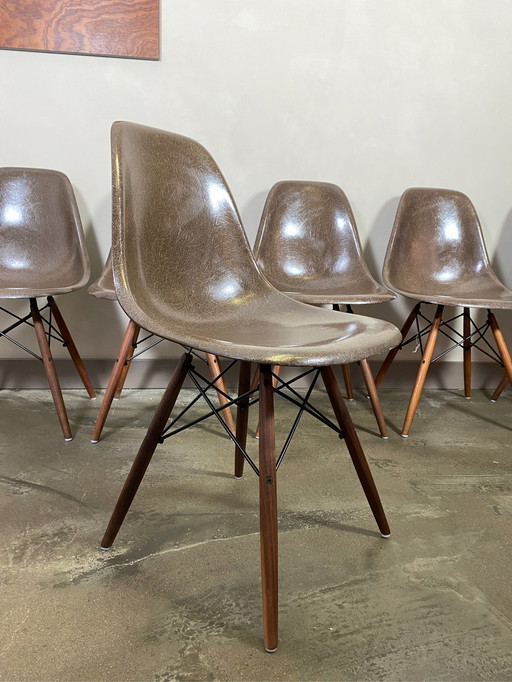 6x Eames HermanMiller/Vitra DSW