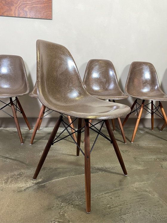 Image 1 of 6x Eames HermanMiller/Vitra DSW