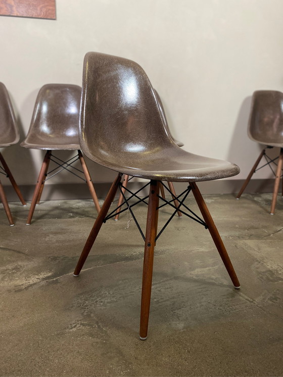 Image 1 of 6x Eames HermanMiller/Vitra DSW