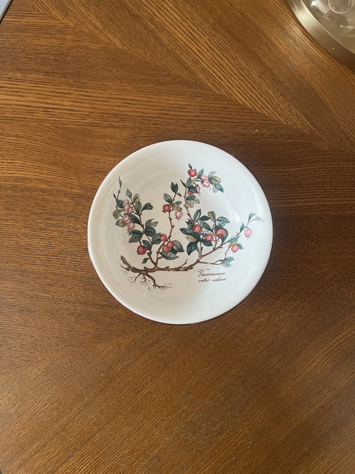 4 Schaaltjes Villeroy & Boch Botanica