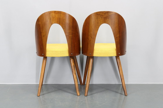 Image 1 of 1960S Antonin Suman Set van Vier Gerestaureerde Eetkamerstoelen In Walnoot Afwerking