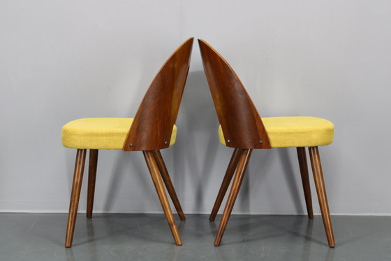 Image 1 of 1960S Antonin Suman Set van Vier Gerestaureerde Eetkamerstoelen In Walnoot Afwerking