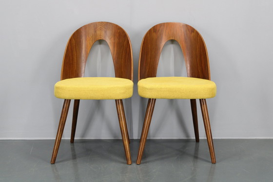 Image 1 of 1960S Antonin Suman Set van Vier Gerestaureerde Eetkamerstoelen In Walnoot Afwerking