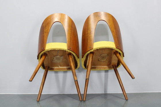 Image 1 of 1960S Antonin Suman Set van Vier Gerestaureerde Eetkamerstoelen In Walnoot Afwerking