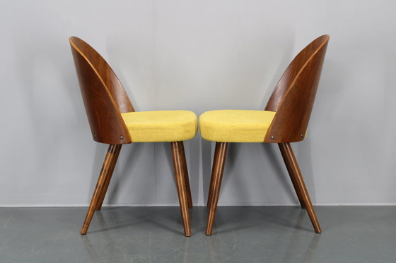 Image 1 of 1960S Antonin Suman Set van Vier Gerestaureerde Eetkamerstoelen In Walnoot Afwerking