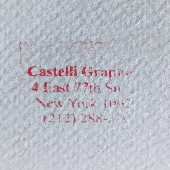 Image 1 of Vintage Roy Lichtenstein "Industrie en de kunsten (II)" Limited Edition lithografie