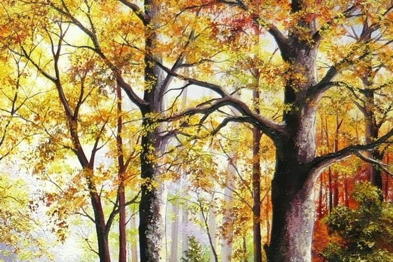 Image 1 of Tomasz Kachelski "Weg in de herfst