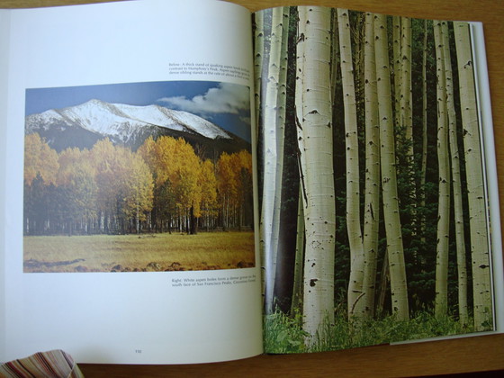 Image 1 of 2x David Muench Fotoboeken : Arizona En New Mexico