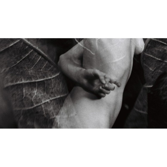 Image 1 of Vintage schilderij Natural Movements 08 door Meïdhy Bichon, 2019