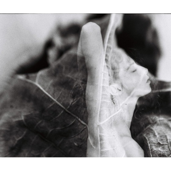 Image 1 of Vintage schilderij Natural Movements 08 door Meïdhy Bichon, 2019