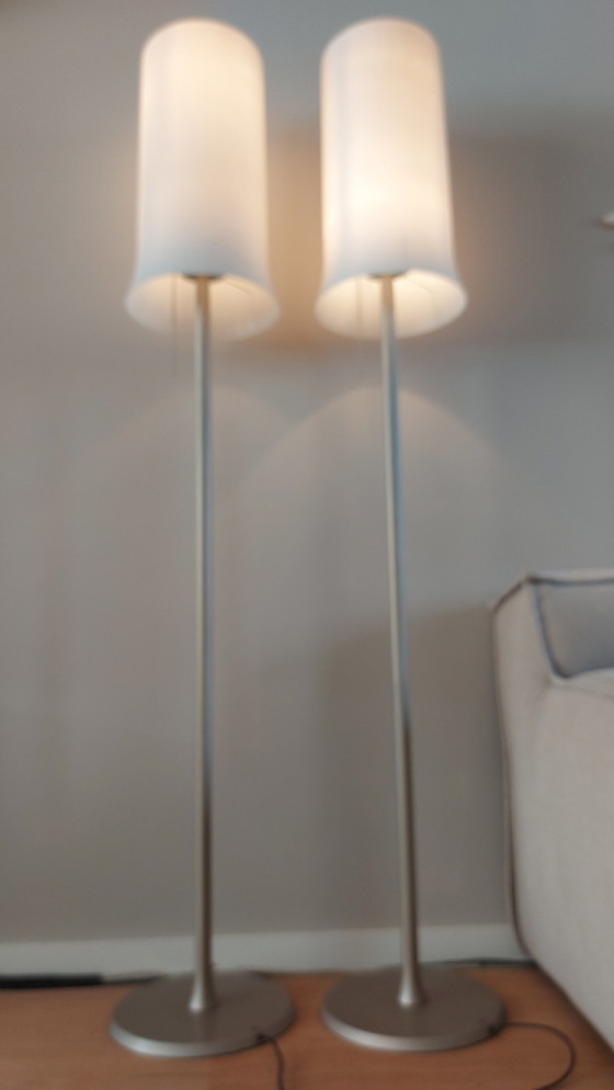 Image 1 of 2x Rolf Benz Capello Vloerlamp