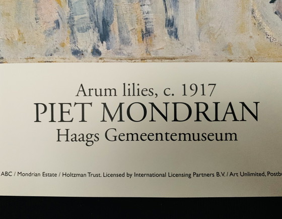 Image 1 of Piet Mondriaan, Authorized Original Colour Exhibition Affiche, High Quality, Limited Edition: “Aronskelken 1917". In Uitstekende