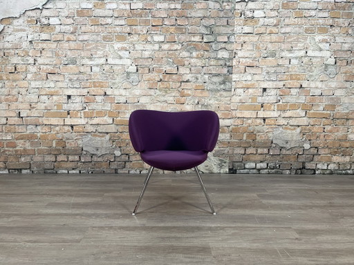 Artifort Pinq Lounge paars fauteuil