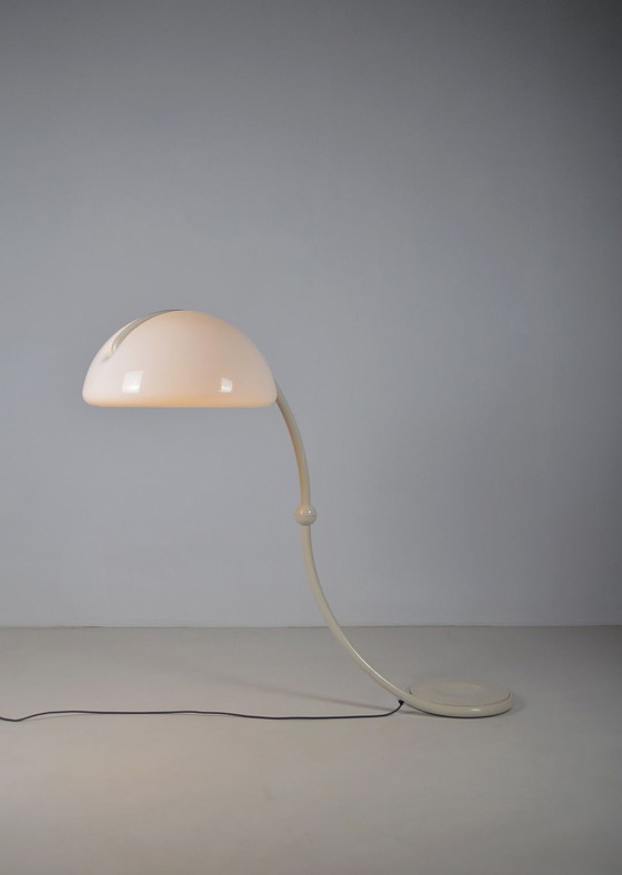 Image 1 of Serpente vloerlamp ontworpen door Elio Martinelli voor Martinelli Luce, jaren 60