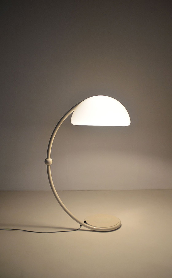 Image 1 of Serpente vloerlamp ontworpen door Elio Martinelli voor Martinelli Luce, jaren 60