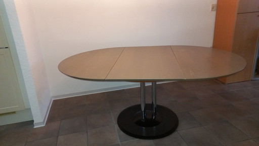 Leolux Trias Eetkamertafel, Evt Met Deze 4 Eetkamerstoelen Leverbaar