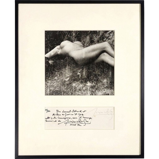 Vintage schilderij "femme nue sous la cascade" door Lucien Clergue