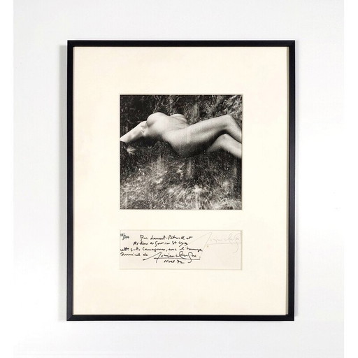 Vintage schilderij "femme nue sous la cascade" door Lucien Clergue