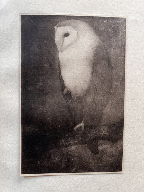 Image 1 of Jan Mankes 1889-1920 / Zeldzaam Oeuvre Boek 1927 (Gelimiteerd Nr. 11 Van 100)