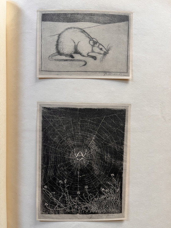 Image 1 of Jan Mankes 1889-1920 / Zeldzaam Oeuvre Boek 1927 (Gelimiteerd Nr. 11 Van 100)